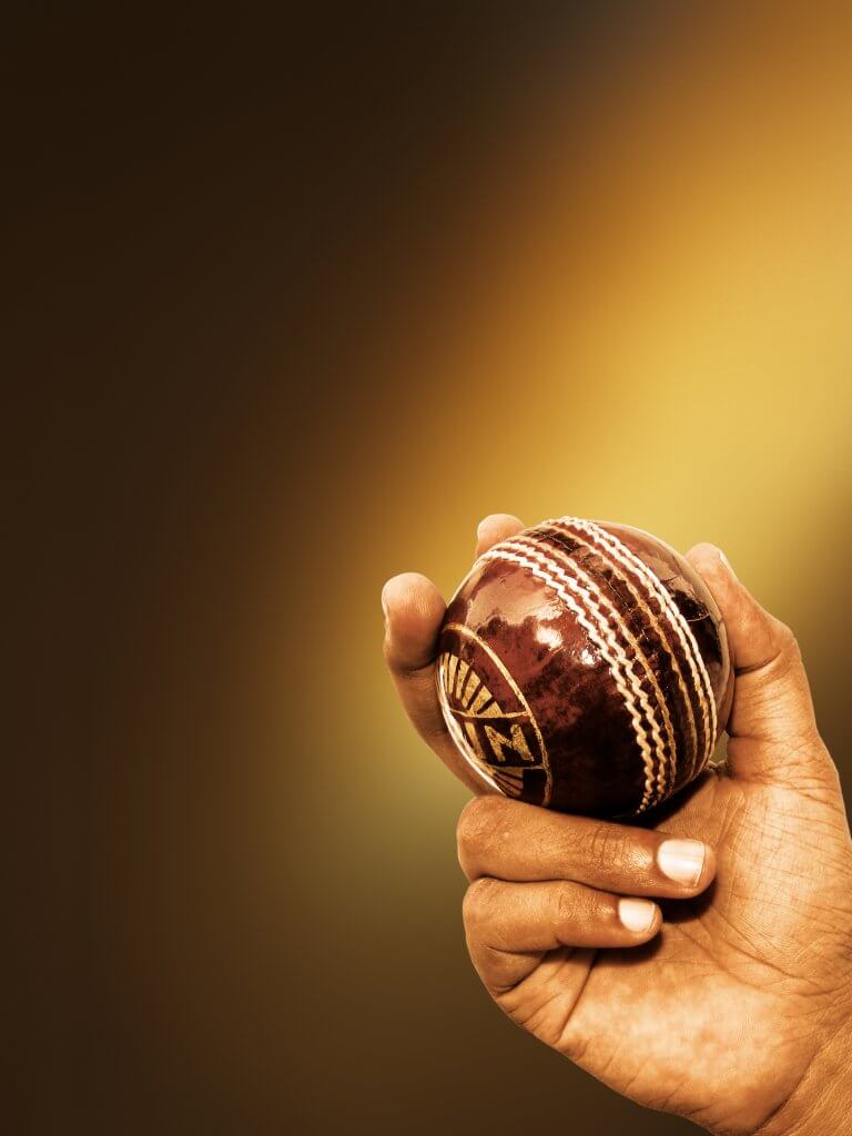 Bhuvaneshwar Kumar and Vijay Shankar Injury updates