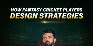 How Fantasy Cricket Players Design Strategies