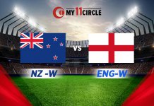 Fantasy Cricket Tips for NZ W vs ENG W